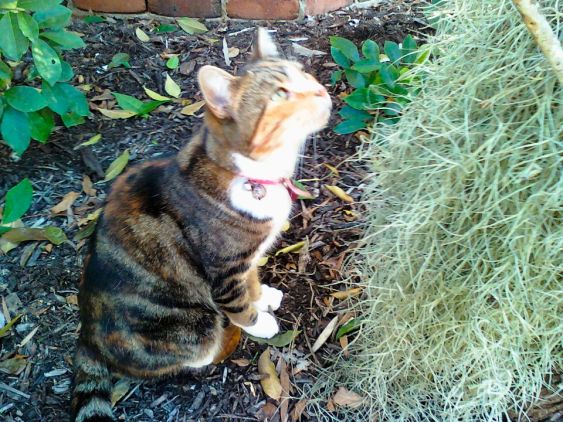 She just knew there was something of interest up there!