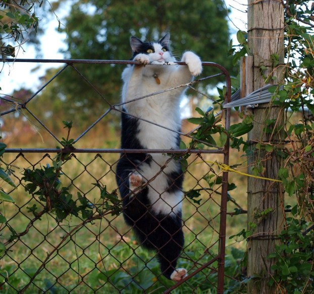 No...wait...let me in!