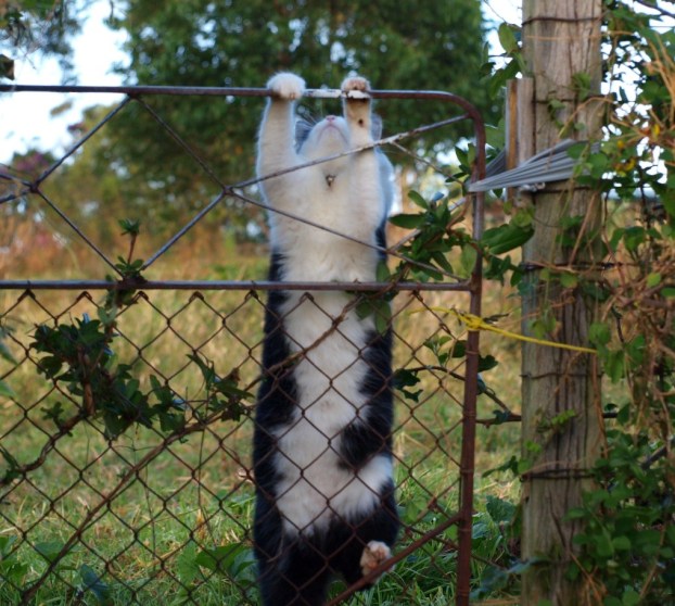 There's no time to waste!