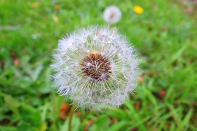 one oclock, two oclock...