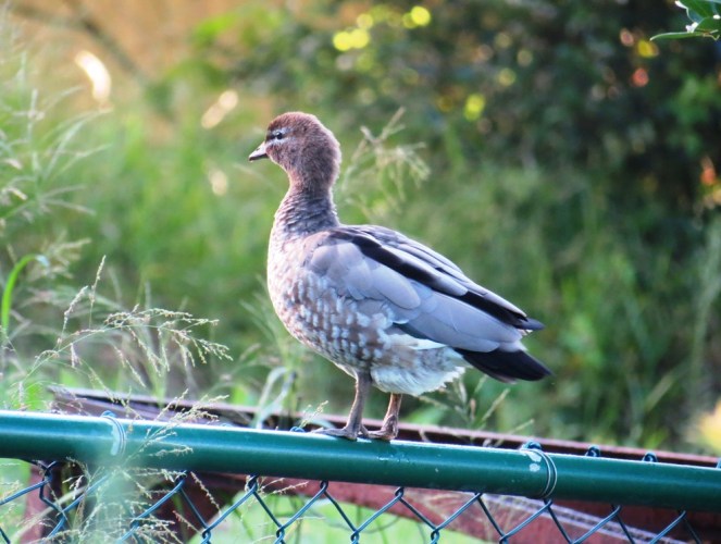 ???????????????????????????????