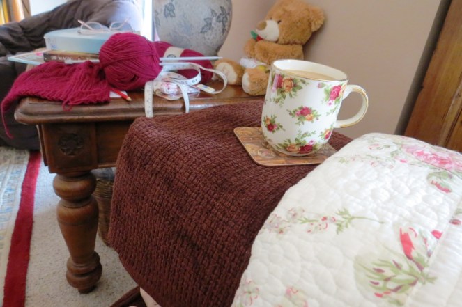 More varying shades of the colour red ~ they are everywhere!