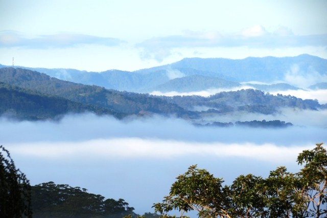During an early mist morning, the colour blue overpowers all the other colours of the valley.