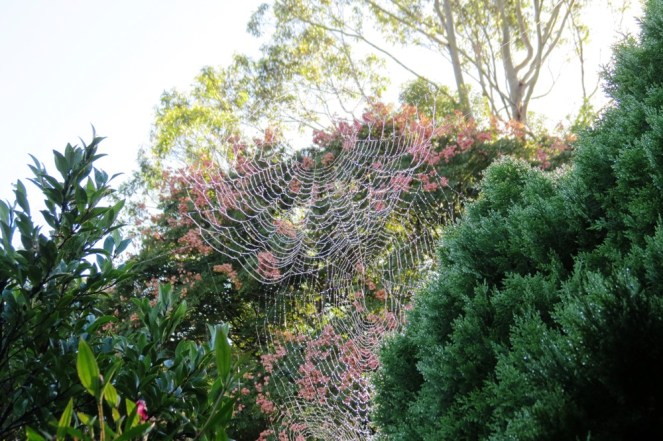 The whole family has moved in, and they're welcome. :)