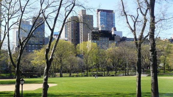 Central Park against the buildings of New York.
