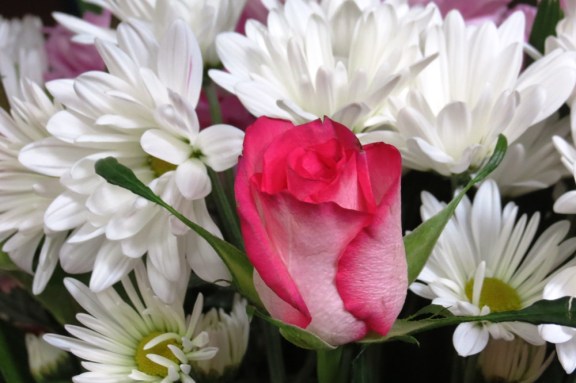 Happy Mother's Day to my friends.