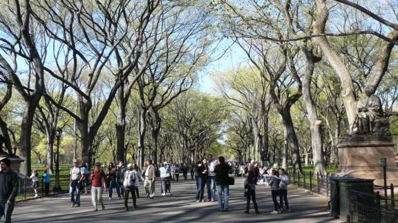 Spring in Central Park.