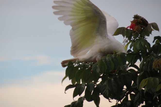 ???????????????????????????????