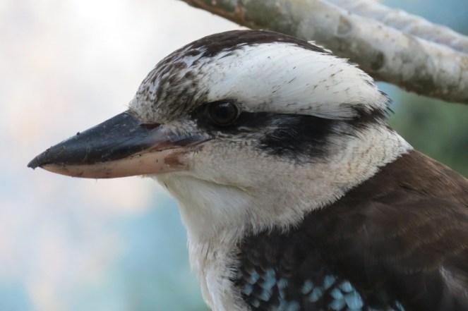 ???????????????????????????????