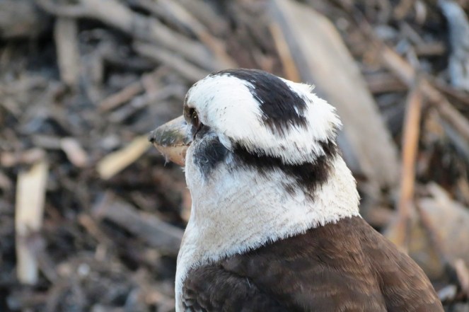 ???????????????????????????????