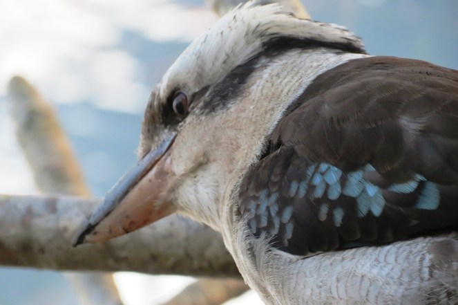 ???????????????????????????????