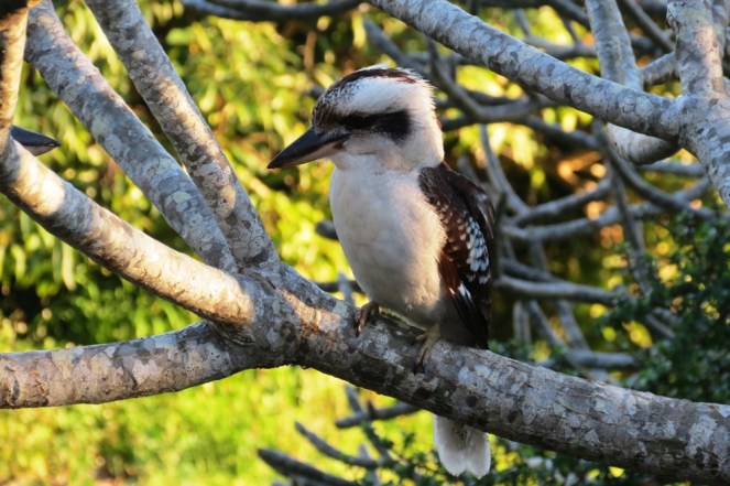 ???????????????????????????????