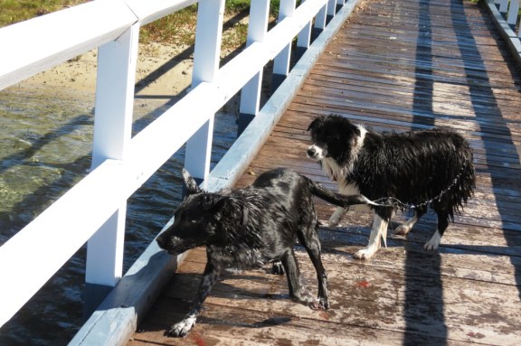 ......we're gettin' set.......