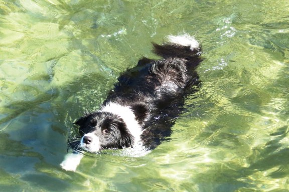 Yep, Porter got it....again....