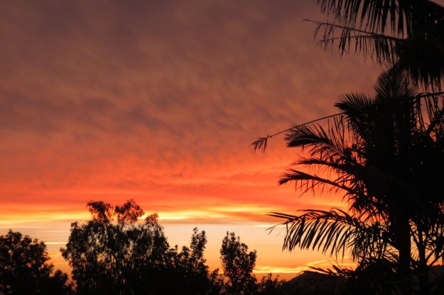 A picture paints a thousand words! This sunset is straight out of the camera, free of any editing.