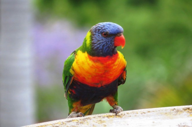 ???????????????????????????????