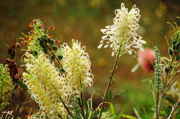 ???????????????????????????????