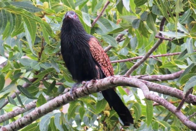 Enjoying the rain....