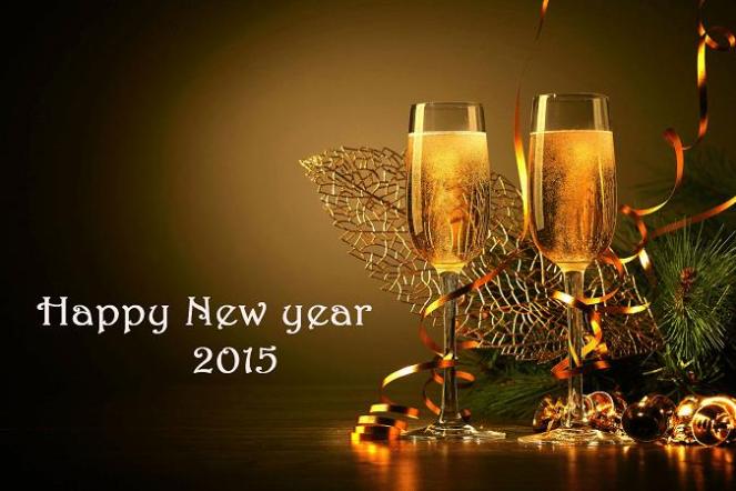 happy new year 2015