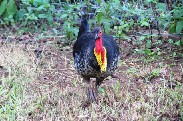 Hello there! Where have you been?