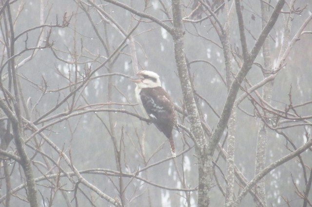 Awaiting the main event.